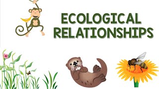 Ecological Relationships  Animation [upl. by Henke]