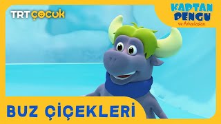 Kaptan Pengu ve Arkadaşları  Buz Çiçekleri [upl. by Inaffyt976]