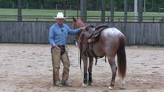 Epic Success In 20 Days Snaffle Bit Basics with Neches Day 7 Preview [upl. by Ertha]