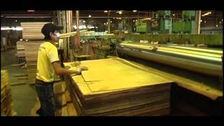 Plywood Manufacturing Process [upl. by Notgnirrac]