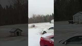 New Brunswick canada snow day [upl. by Yenffad]