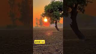 pind 🥺 pind desi pindawale pindan jatt trending shortsfeed shorts song kulbirjhinjar [upl. by Nirihs]