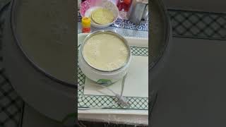 Yoghurt makerrecipe video food vairalshort viralvideo vairalrecipe [upl. by Mathilda421]