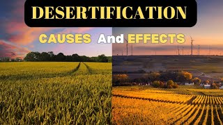 What is Desertification  Desertification Causes and Effects  Desertification [upl. by Ardnak]