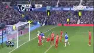 Everton vs Liverpool 3 3 All Goals23 11 2013 [upl. by Arleyne]