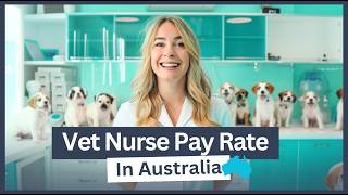 Vet Nurse Pay Rate in Australia [upl. by Cly]