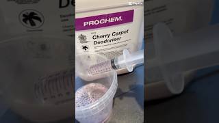 Carpet Cleaning with Prochem 🧼 carpetextraction carpetwashing hotwaterextraction [upl. by Su]