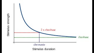 16 Accommodation and strength duration curve [upl. by Torrey531]