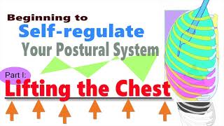 Beginning to Selfregulate Your Postural System Part I Lifting the Chest [upl. by Gresham]