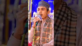 Muhammad Mamoon Ali Qadri ♥️♥️  tag naat rasool [upl. by Odlanier]