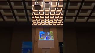 Projection Lifts and Motorized Projection Screen [upl. by Euqinad]