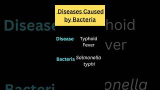 Diseases Caused by Bacteria 🦠💯  Bacterial Diseases 🧠😱 disease science education trending [upl. by Shetrit]