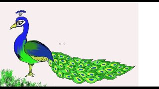 Easy Kids Drawing Lessons  How to Draw a Peacock [upl. by Ecaj]