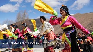 Live What does the Tibetan New Year look like 藏历新年知多少 [upl. by Leunamesoj]