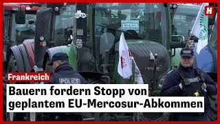 Bauern fordern Stopp von geplantem EUMercosurAbkommen [upl. by Vinnie]