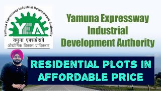 Noida Authority Plots In Affordable Price  सबसे सस्ते Plots plots delhi dda realestate yeida [upl. by Nahtaneoj842]