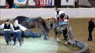 Equine Affaire Pfizer Fantasia 2011 Part 2 [upl. by Eissahc901]