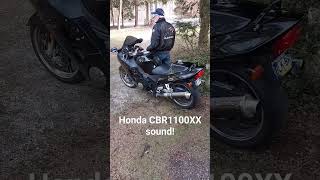 CBR1100XX Sound hondamotorcycles motorcycle cbr1100xx motorcycleshorts hondacbr blackbird [upl. by Esther378]