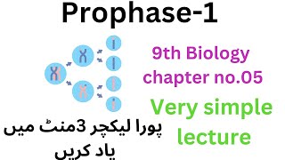 prophase1  chapter 05 9th biology 9thclass [upl. by Apollo117]