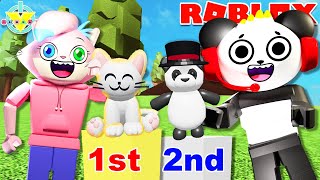 Creating the Cutest Pets in the World in Roblox Pet Show Lets Play with Alpha Lexa and Combo [upl. by Meesan]