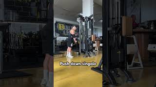 Push down singolo presa neutra tricepsworkout gymexercises gymworkout gym bodybuilding [upl. by Llevad]