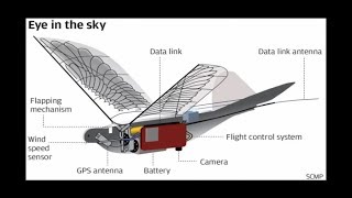 CHINESmartCity  DRONESOiseaux de Surveillance Du Peuple    O [upl. by Lavinie]