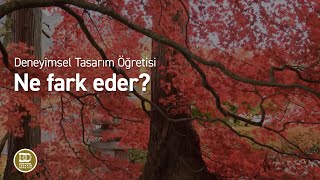 Deneyimsel Tasarım Öğretisi  Ne Fark Eder [upl. by Meeker]