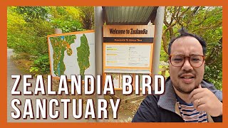 Zealandia Bird Sanctuary [upl. by Nathaniel720]