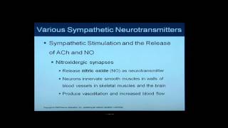 Anatomy and Physiology Help Chapter 16 Light OverviewFlythrough of Autonomic Nervous System [upl. by Janeczka38]