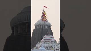 ⭕❗⭕Jagannath status video Jagannath WhatsApp Jagannath short video 🙏🙏🙏 [upl. by Hayne47]