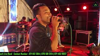 Theekshana Anuradha Song පමා වූ අතීතේ මොරොන්තුඩුව SPARK රහට  Hidden ray Video Team [upl. by Sessilu]