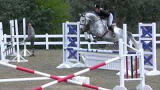 Super Hunter Jumper EQ  Warmblood for sale [upl. by Htebarual]