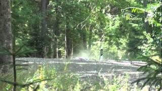 Wrc Neste Oil Rally Finland 2011 HD By DevillersVidéo [upl. by Rebor]