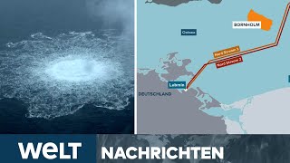 HAFTBEFEHL Verdächtiger Ukrainer Wolodymyr Z wegen NordStreamAnschlag gesucht  WELT LIVESTREAM [upl. by Serrell]