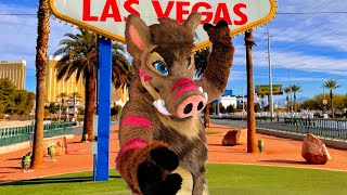 What REALLY Happens at Las Vegas Furry Con [upl. by Cointon202]