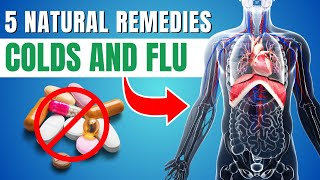 5 Natural Remedies for Common Ailments Herbal Medicine and Homeopathy [upl. by Nho599]