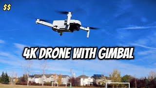 Holy Stone HS360E Drone Review Best Budget 4K GPS Drone for Beginners [upl. by Samuella]