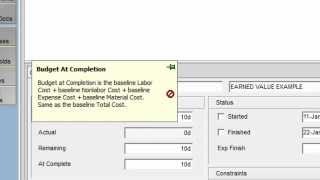 Primavera P6 Training Intro to Earned Value [upl. by Adar301]