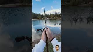 long throw of the fishing rod fishing fish catchandrelease viralvideo food shorts trending [upl. by Llezo]