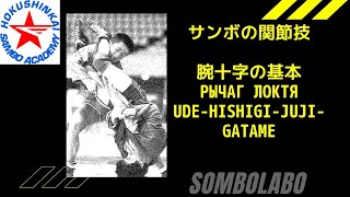 サンボ【腕十字固め】正しい腕十字をマスターする Udehishigijujigatame arm bar [upl. by Bechler]