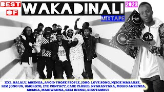 KENYAN DRILL MIXTAPE BEST OF WAKADINALI 2023 MIXTAPE AVOID THOSE PEOPLE SIKUTAMBUI CASE CLOSED [upl. by Houston]