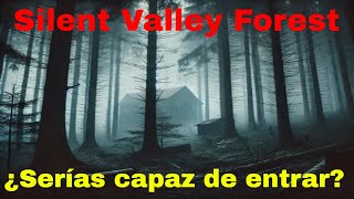 🌲👻 El Misterioso Bosque de los Valles Silenciosos en California 🌫️ ¡Desapariciones y luces extrañas [upl. by Rasla]