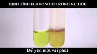 Flavonoid  Phản ứng Cyanidin [upl. by Oidivo]