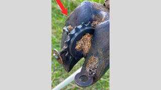 TRIMMING cows FEET  Cut trim cleaning and steel nails from cows hoof shorts hooftrimmer [upl. by Lokim]