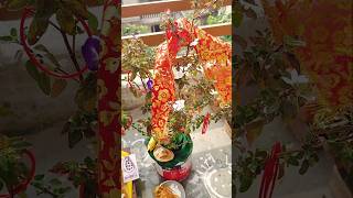 Meri tulsi ke gamle pe om likha haishorts tulsi yt viralvideo hindufestival [upl. by Alin]