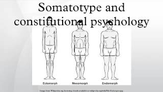 Somatotype and constitutional psychology [upl. by Aikam756]