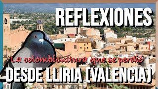 La Colombicultura que se perdió 😢😢  REFLEXIONES desde LLÍRIA Valencia [upl. by Vizzone]