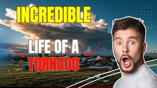 The Incredible Life of a Tornado  From Formation to Destruction  MR What [upl. by Ahsiadal539]