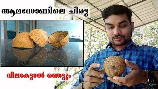 Coconut Shell Amazon Malayalam [upl. by Bunns]