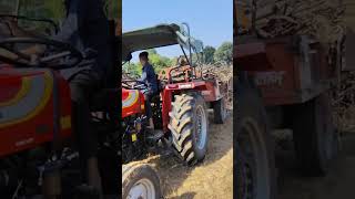 245 Massey 50 HP  power steering fourbrothers shortsvideo modifyjattlife 🌾👨‍🌾🚜farming 🌾🌾🌽 [upl. by Sato366]